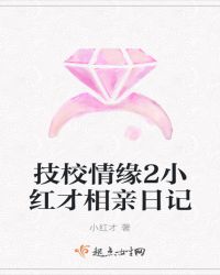 技校情缘2小红才相亲日记章节列表