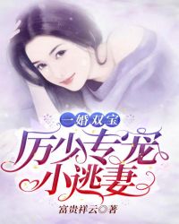 一婚双宝：厉少专宠小逃妻章节列表