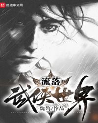 流落武侠世界章节列表