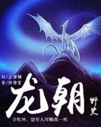 龙朝野史章节列表