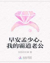 早安孟少心，我的霸道老公章节列表