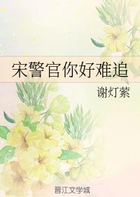 宋警官你好难追章节列表