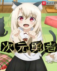 次元勇者章节列表