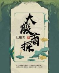 大殷盲探章节列表