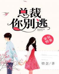 家有悍妻：总裁，你别逃章节列表