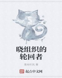 晓组织的轮回者章节列表