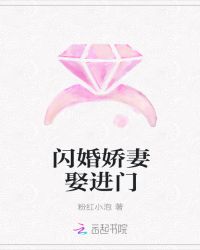 闪婚娇妻娶进门章节列表