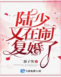 陆少又在闹复婚了章节列表