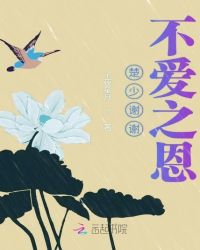 楚少谢谢不爱之恩章节列表