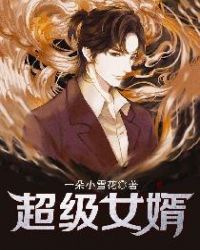 超级女婿章节列表