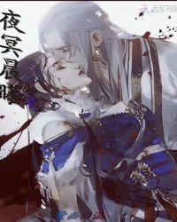 帝君的追妻日常章节列表