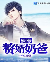 妖孽赘婿奶爸章节列表