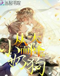 从天而降的小奶狗章节列表