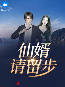 仙婿请留步章节列表