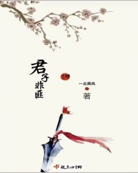 君子非匪章节列表