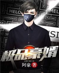 极品豪婿章节列表