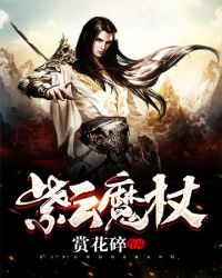 紫云魔杖章节列表