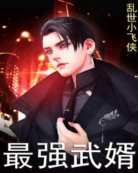 最强武婿章节列表