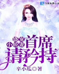 盛宠小娇妻：首席，请矜持章节列表