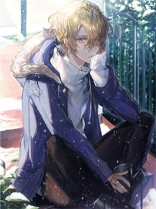 王者神婿章节列表