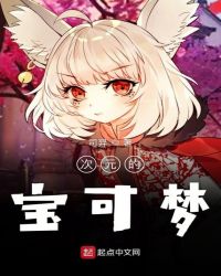 次元的宝可梦章节列表