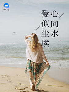 爱似尘埃心向水章节列表