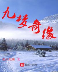 九梦奇缘章节列表