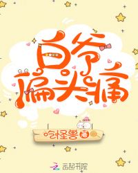 白爷偏头痛章节列表