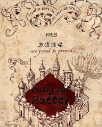 Harriet·Potter章节列表