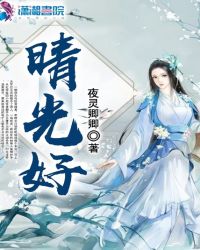 晴光好章节列表