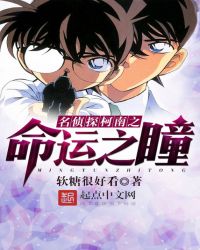 名侦探柯南之命运之瞳章节列表