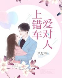 上错车，爱对人章节列表