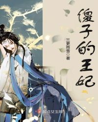 傻子的王妃章节列表