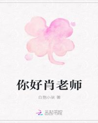 你好肖老师章节列表