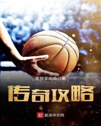 传奇攻略章节列表