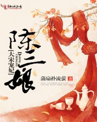 大宋宠妃陈三娘章节列表