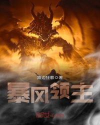 暴风领主章节列表
