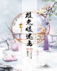 雄兔眼迷离章节列表