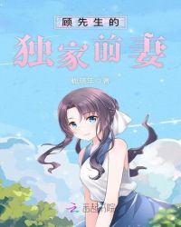 顾先生的独家前妻章节列表