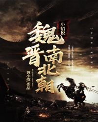 小招说：魏晋南北朝章节列表