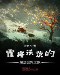 霍格沃茨的魔法世界之旅章节列表