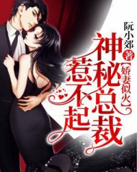 娇妻似火，神秘总裁惹不起章节列表