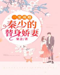 一宠成瘾：秦少的替身娇妻章节列表