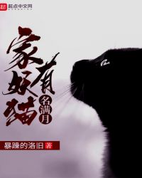 家有妖猫名满月章节列表
