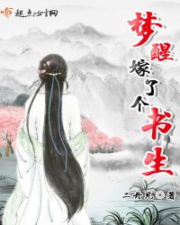 梦醒嫁了个书生章节列表