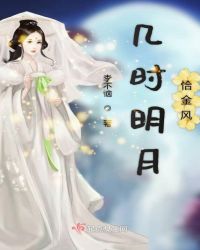 几时明月恰金风章节列表