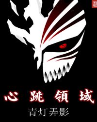 心跳领域章节列表