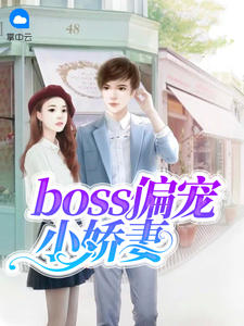 boss偏宠小娇妻章节列表