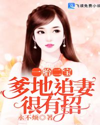 一胎二宝：爹地追妻很有招章节列表