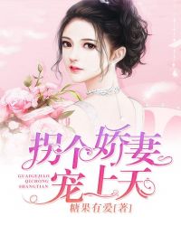 拐个娇妻宠上天章节列表